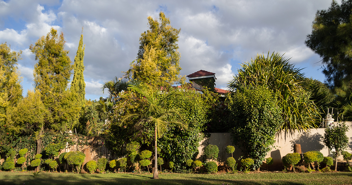 Hyra husbil i Lusaka