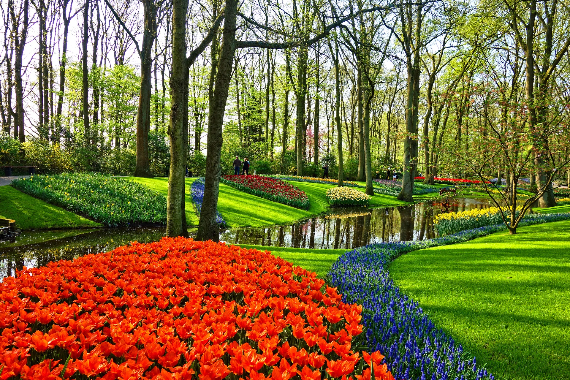 Keukenhof trädgård