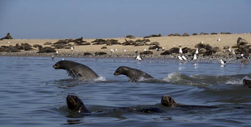 Hyra husbil Walvis Bay