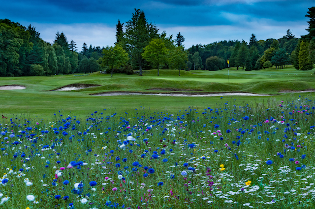 Golfrundtur Storbritannien Aberdeen Skottland