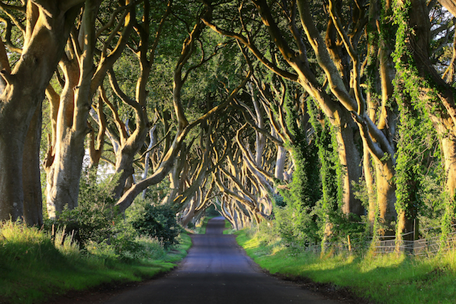 Roadtrip Game of Thrones, Nordirland
