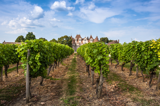 Road Trip till Bergerac