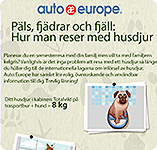 Resa med husdjur | Auto Europe