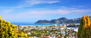 Kiwidestinationer